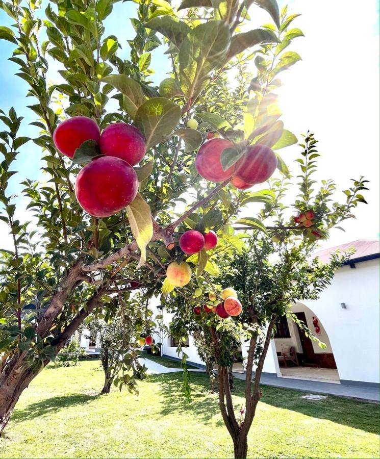 Bella Tilcara Boutique Hotel 外观 照片